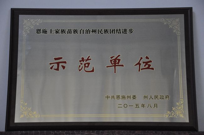 民族团结进步奖牌.jpg