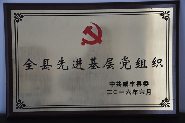 DSC_0001_副本.jpg
